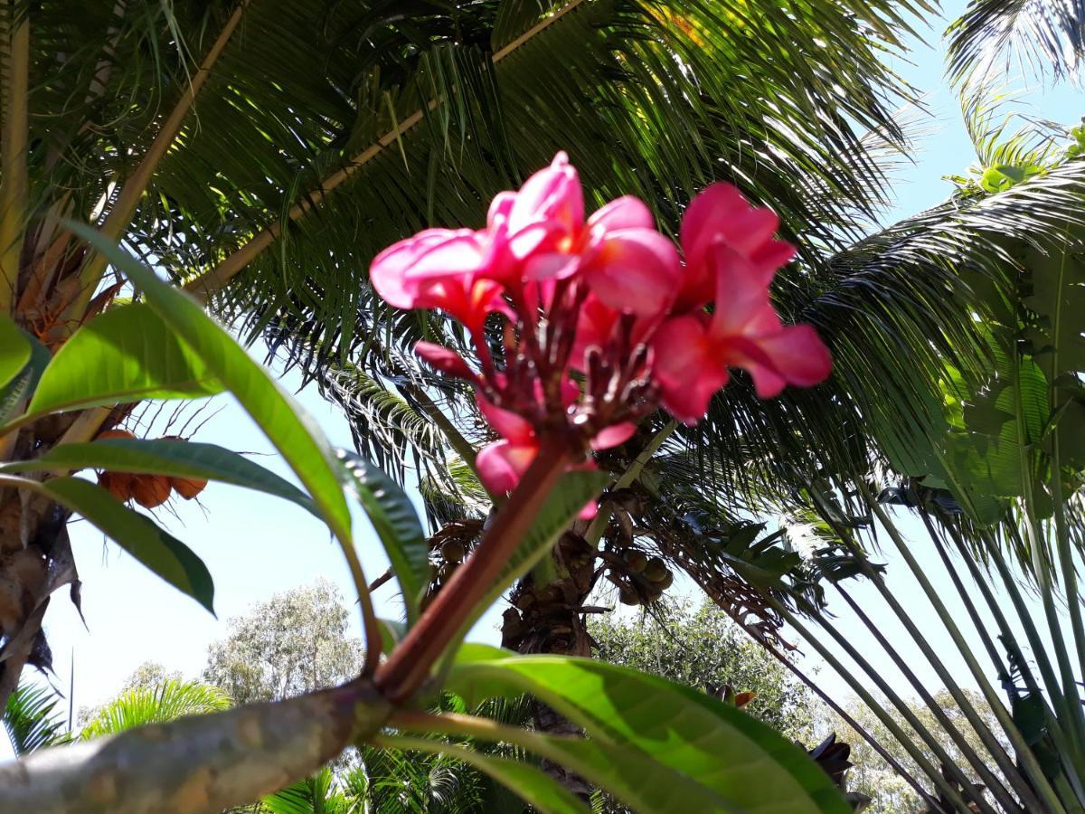Brahmanhut - Eco Hut Experience In Harmony With Nature, Wellbeing And Spirit Bain Boeuf エクステリア 写真