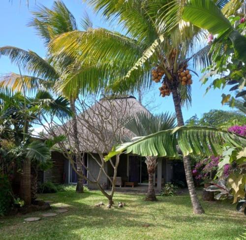 Brahmanhut - Eco Hut Experience In Harmony With Nature, Wellbeing And Spirit Bain Boeuf エクステリア 写真