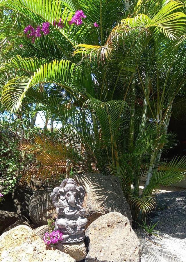 Brahmanhut - Eco Hut Experience In Harmony With Nature, Wellbeing And Spirit Bain Boeuf エクステリア 写真