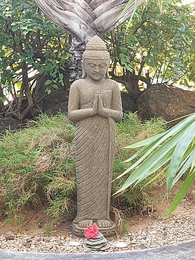 Brahmanhut - Eco Hut Experience In Harmony With Nature, Wellbeing And Spirit Bain Boeuf エクステリア 写真